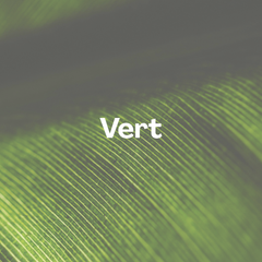 Collection image for: Couleur - Vert