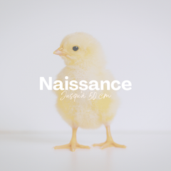 Collection image for: Taille Naissance - 50 cm