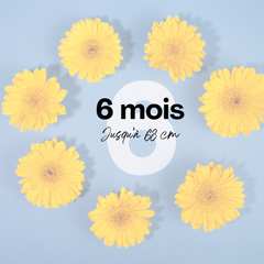 Collection image for: Taille 6 mois - 68 cm