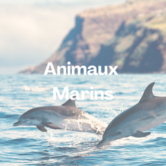 Collection image for: Thème - Animaux marins
