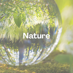 Collection image for: Thème - Nature